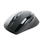 Souris