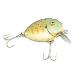 Pêche et chasse